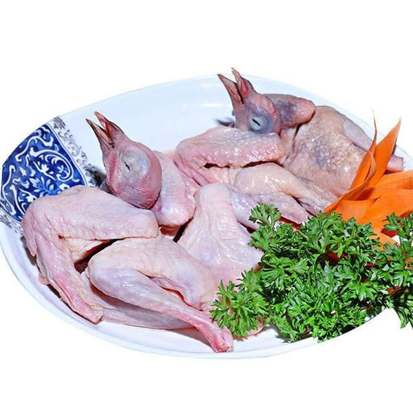 Thịt chim bồ câu chứa nhiều chất đạm